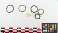 Foto von Bronzering (NHMW-PRAE-023766)